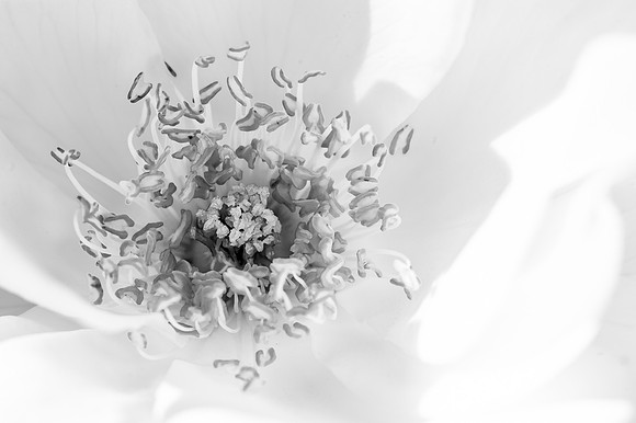 _DSC0070