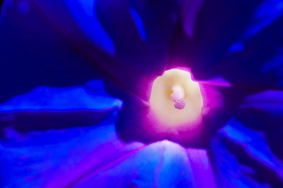 _DSC0029A