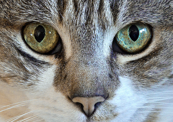 _DSC0017